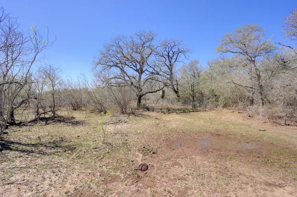 a view of dirt yard with large trees