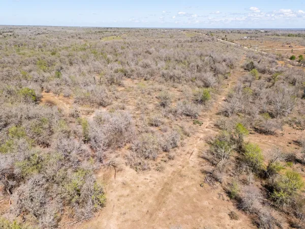 a view of a dry yard with trees