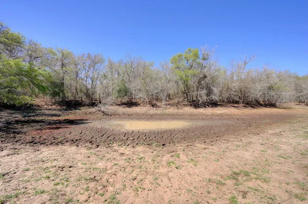 a view of dirt field with trees in background