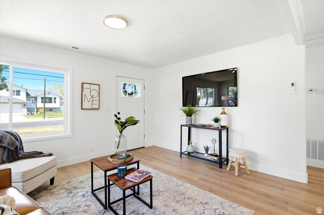 307 Flint Street Layton, UT 84041 - Photo 2 of 13 Bright living area featuring wood-finish flooring, white walls, and a front entry door with decorative glass