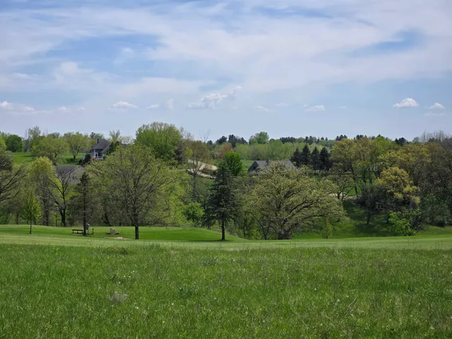 a view of a green field with trees in the background