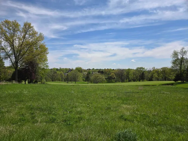 a view of field with tall trees