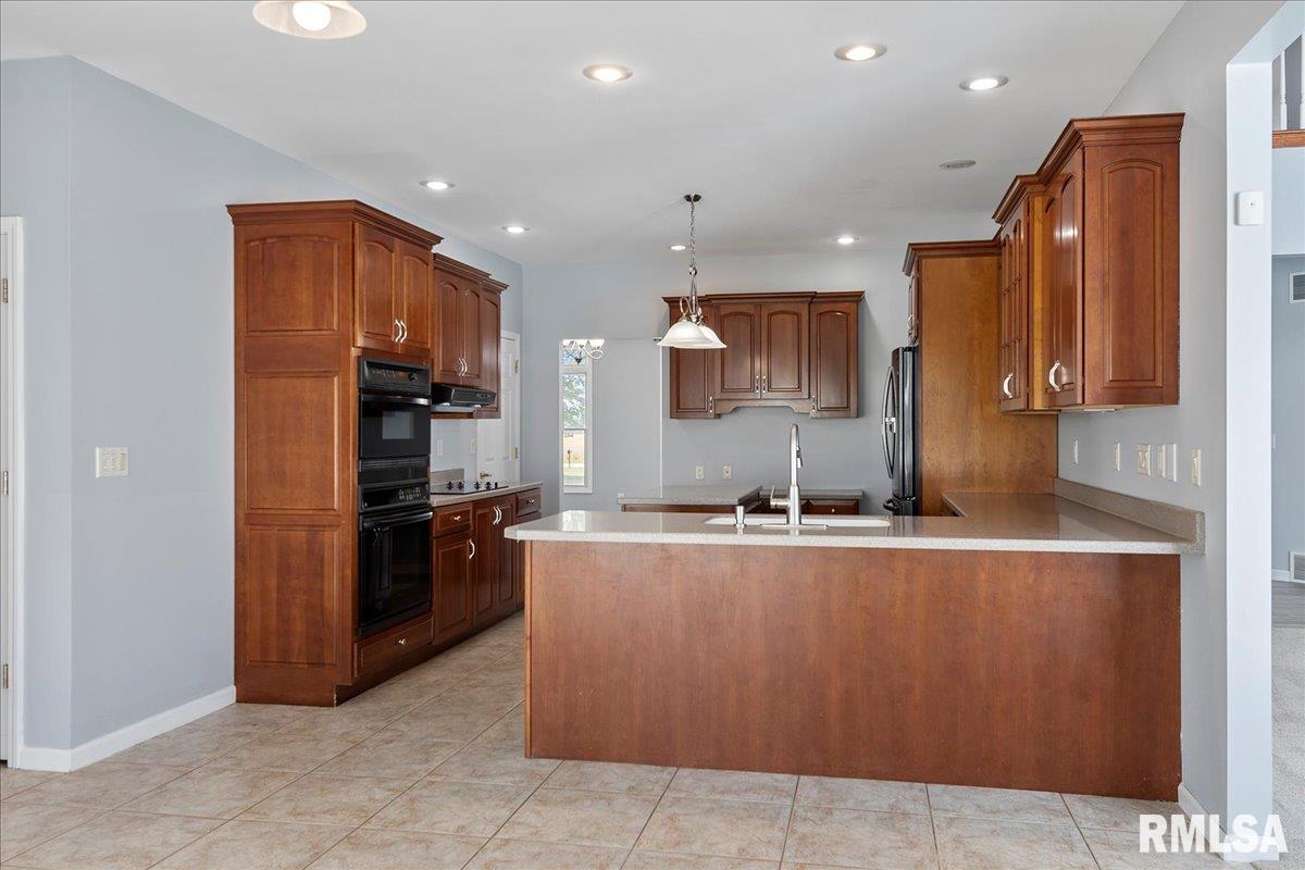 26142 East 1st Road Waggoner, IL 62572 - Photo 12 of 84