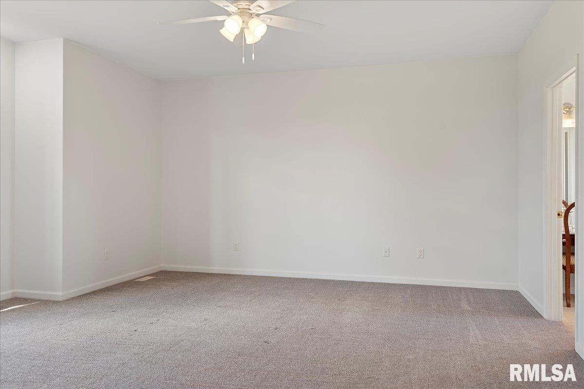 26142 East 1st Road Waggoner, IL 62572 - Photo 32 of 84