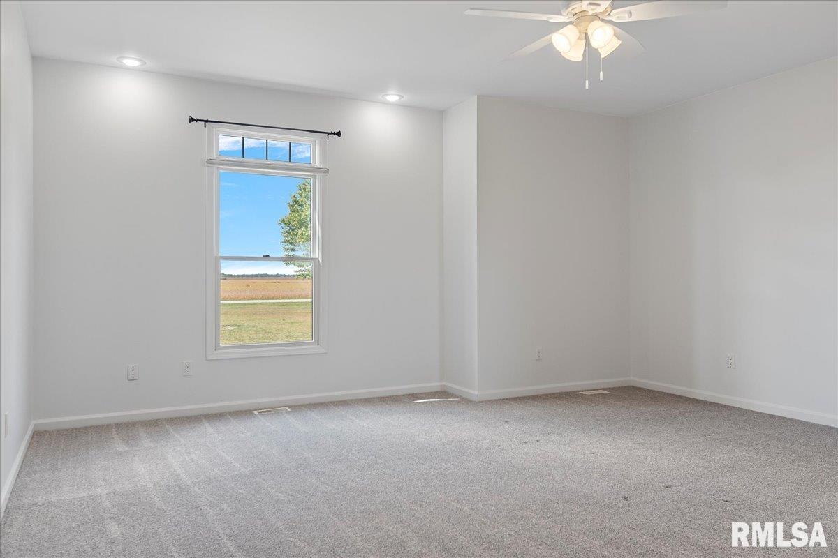 26142 East 1st Road Waggoner, IL 62572 - Photo 33 of 84