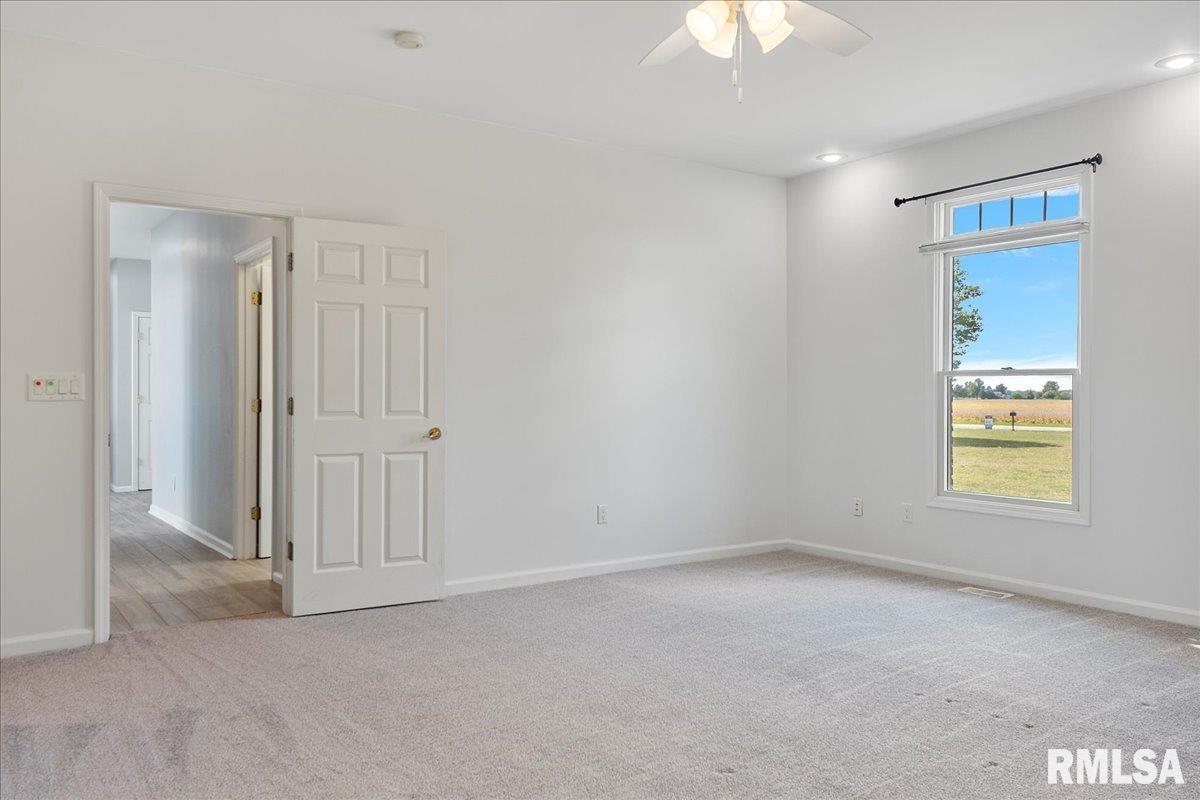 26142 East 1st Road Waggoner, IL 62572 - Photo 34 of 84