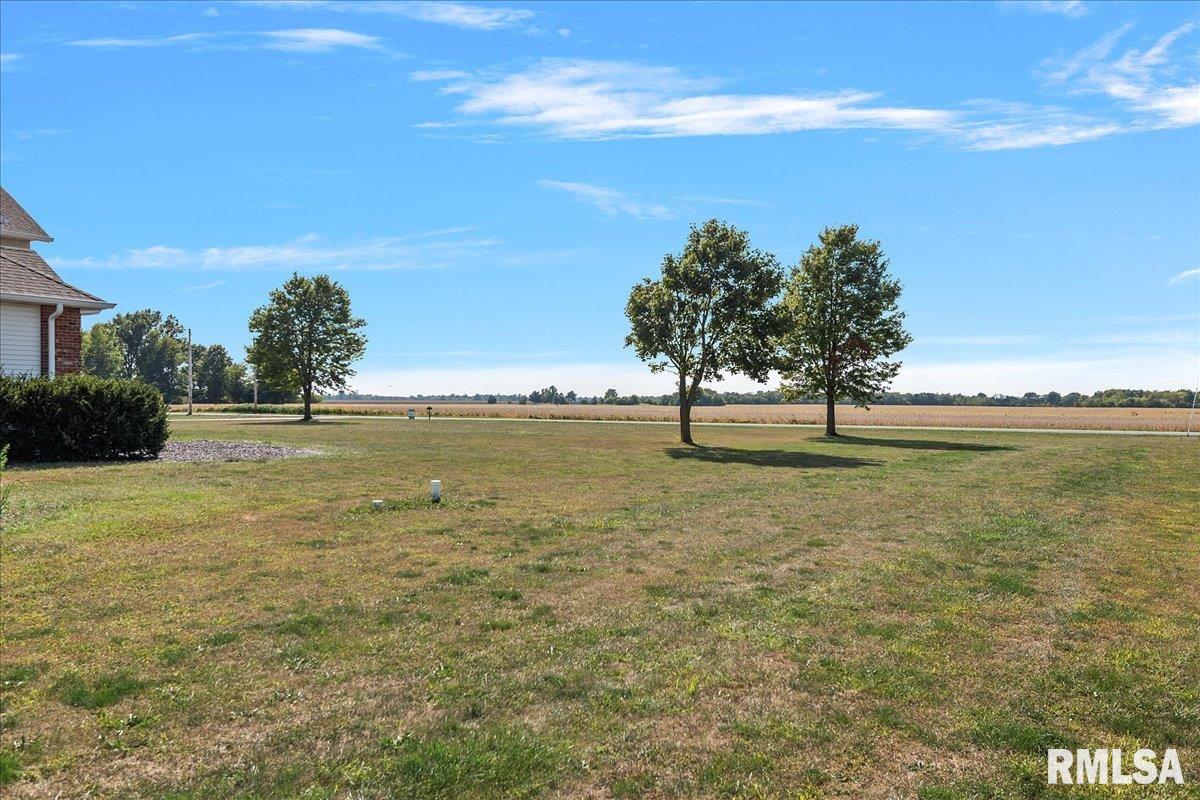 26142 East 1st Road Waggoner, IL 62572 - Photo 4 of 84