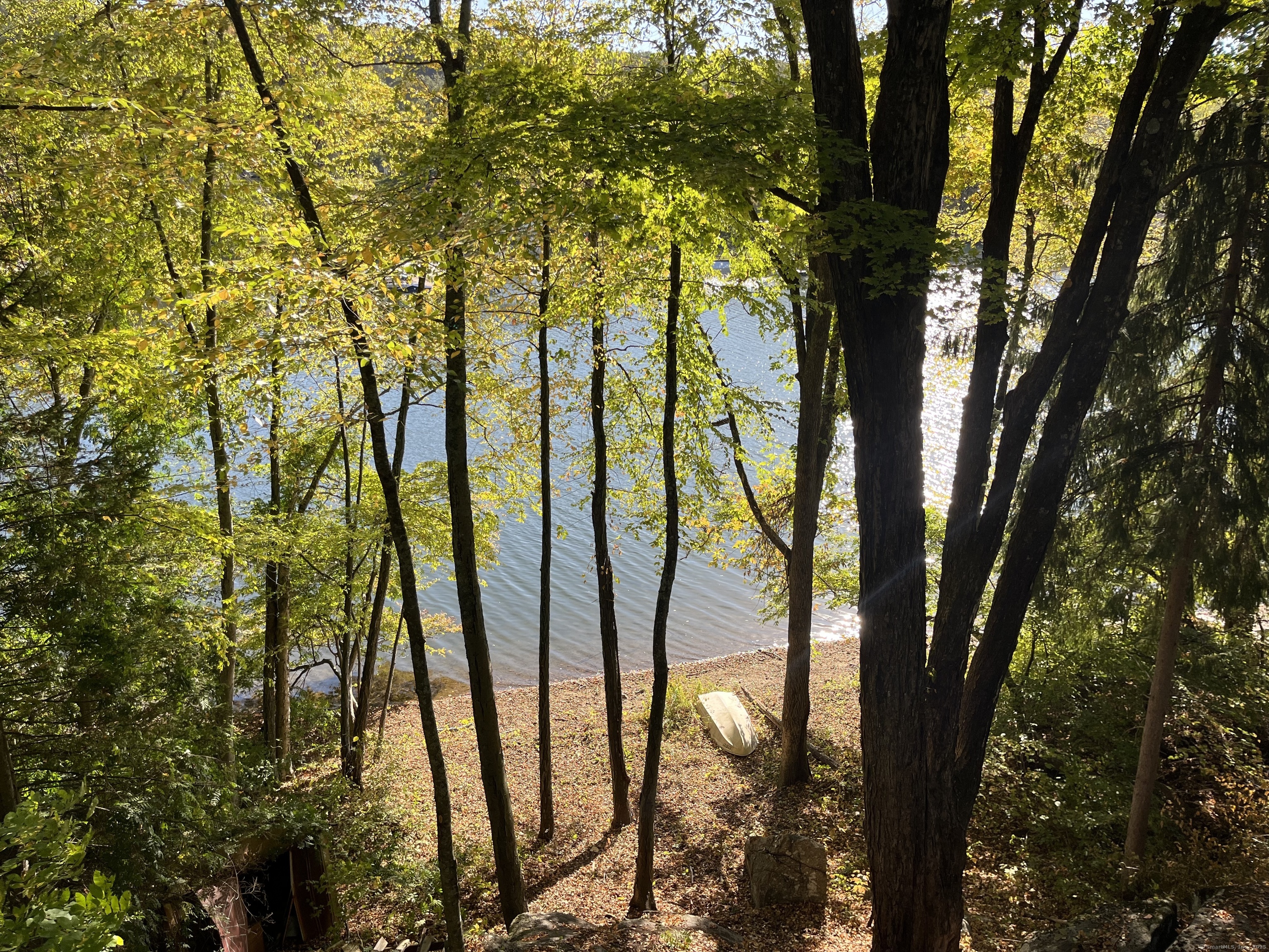 15 Wagon Wheel Road Sherman, CT 06784 - Photo 1 of 1 a view of tall trees