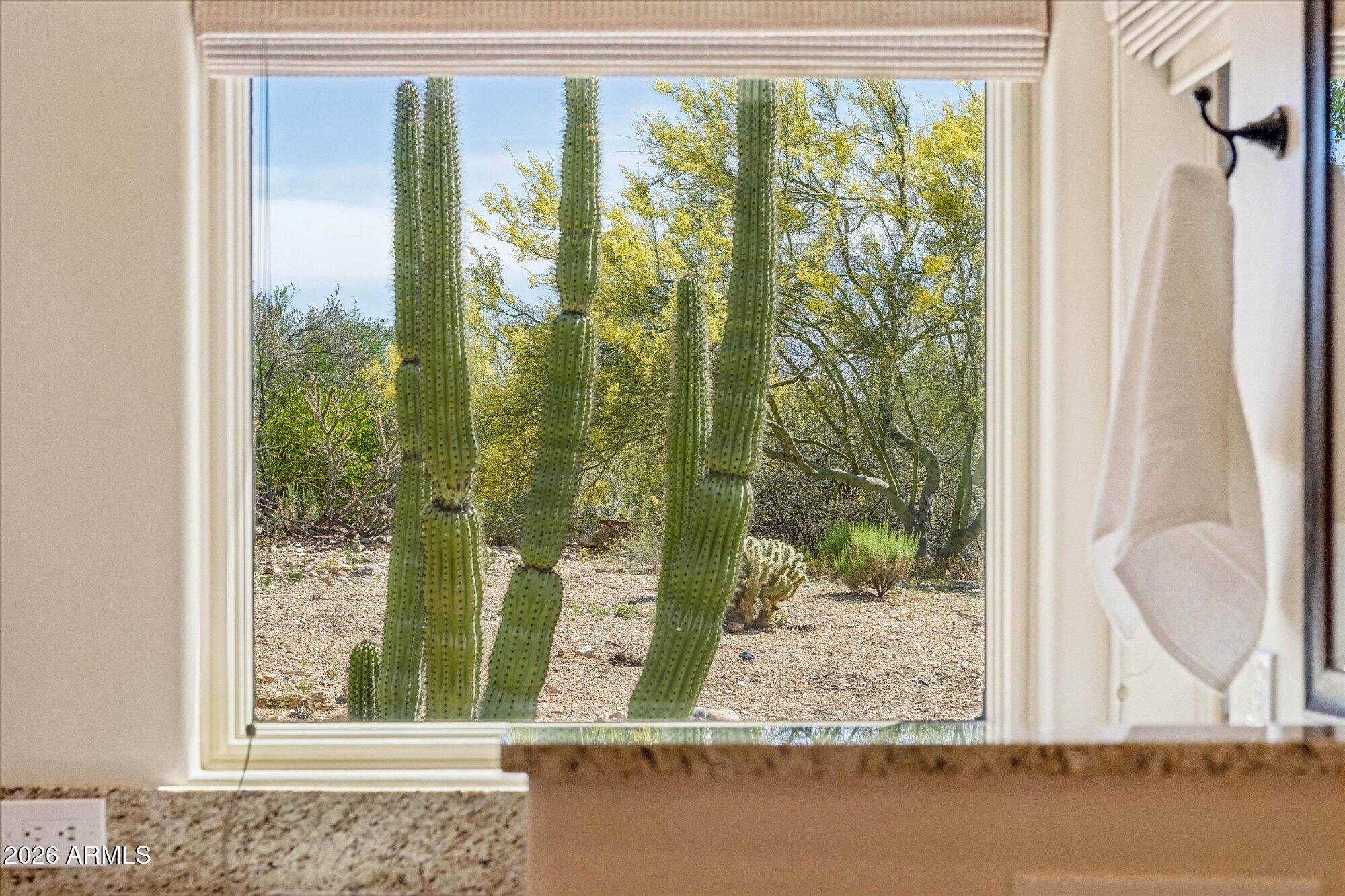 36402 Derringer Road Carefree, AZ 85377 - Photo 39 of 83 Primary Bath