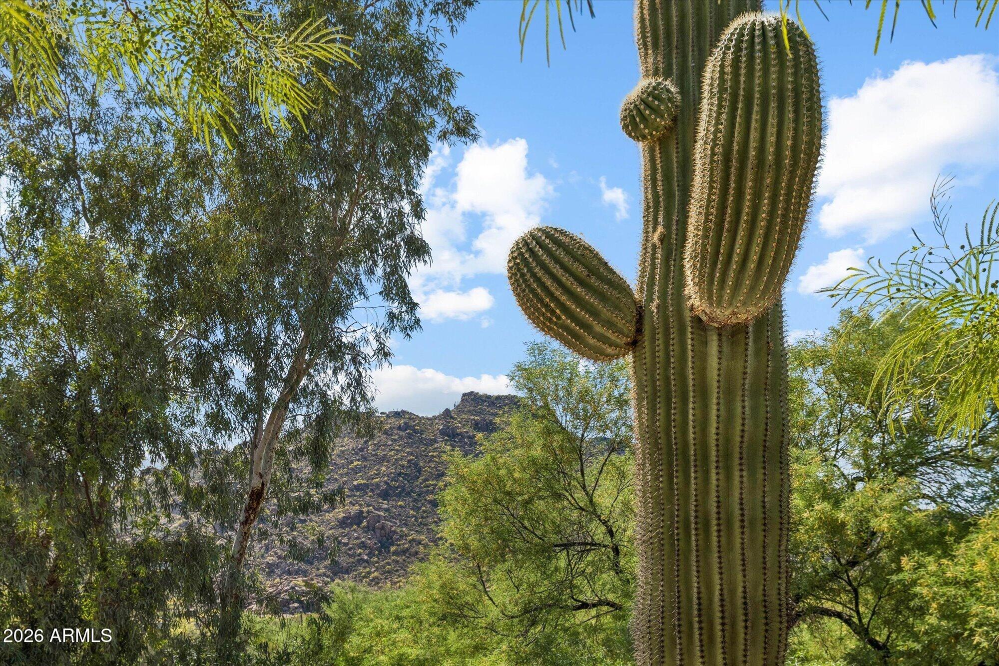 36402 Derringer Road Carefree, AZ 85377 - Photo 7 of 83 Front