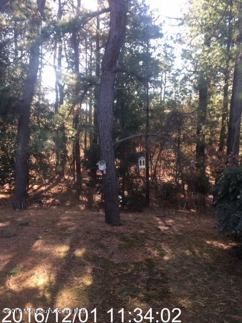 21 A Medford Road Whiting, NJ 08759 - Photo 7 of 7 IMG_2287