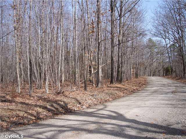 0 Skelton Road Victoria, VA 23974 - Photo 1 of 4 Land