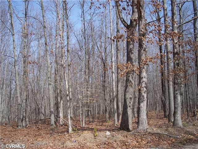 0 Skelton Road Victoria, VA 23974 - Photo 2 of 4 Land