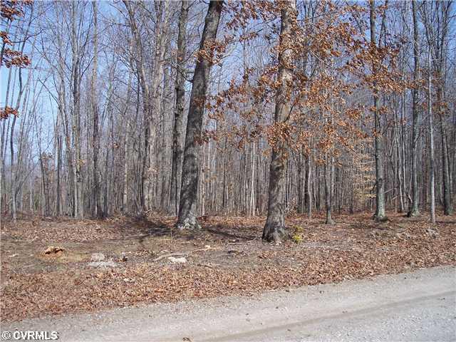 0 Skelton Road Victoria, VA 23974 - Photo 3 of 4 Land