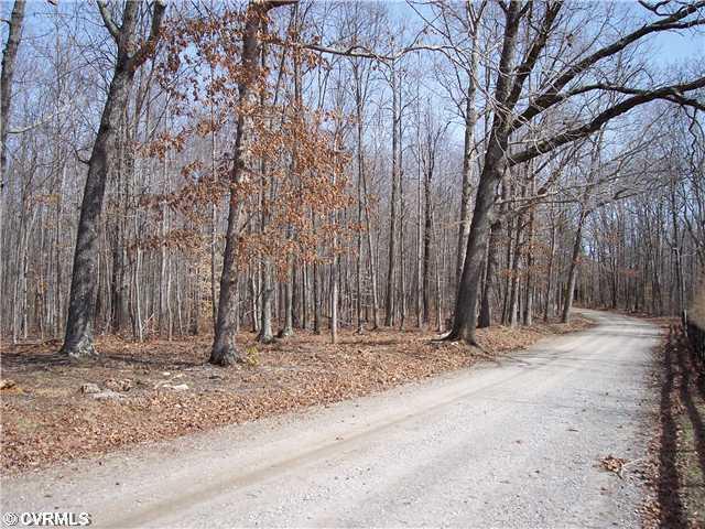 0 Skelton Road Victoria, VA 23974 - Photo 4 of 4