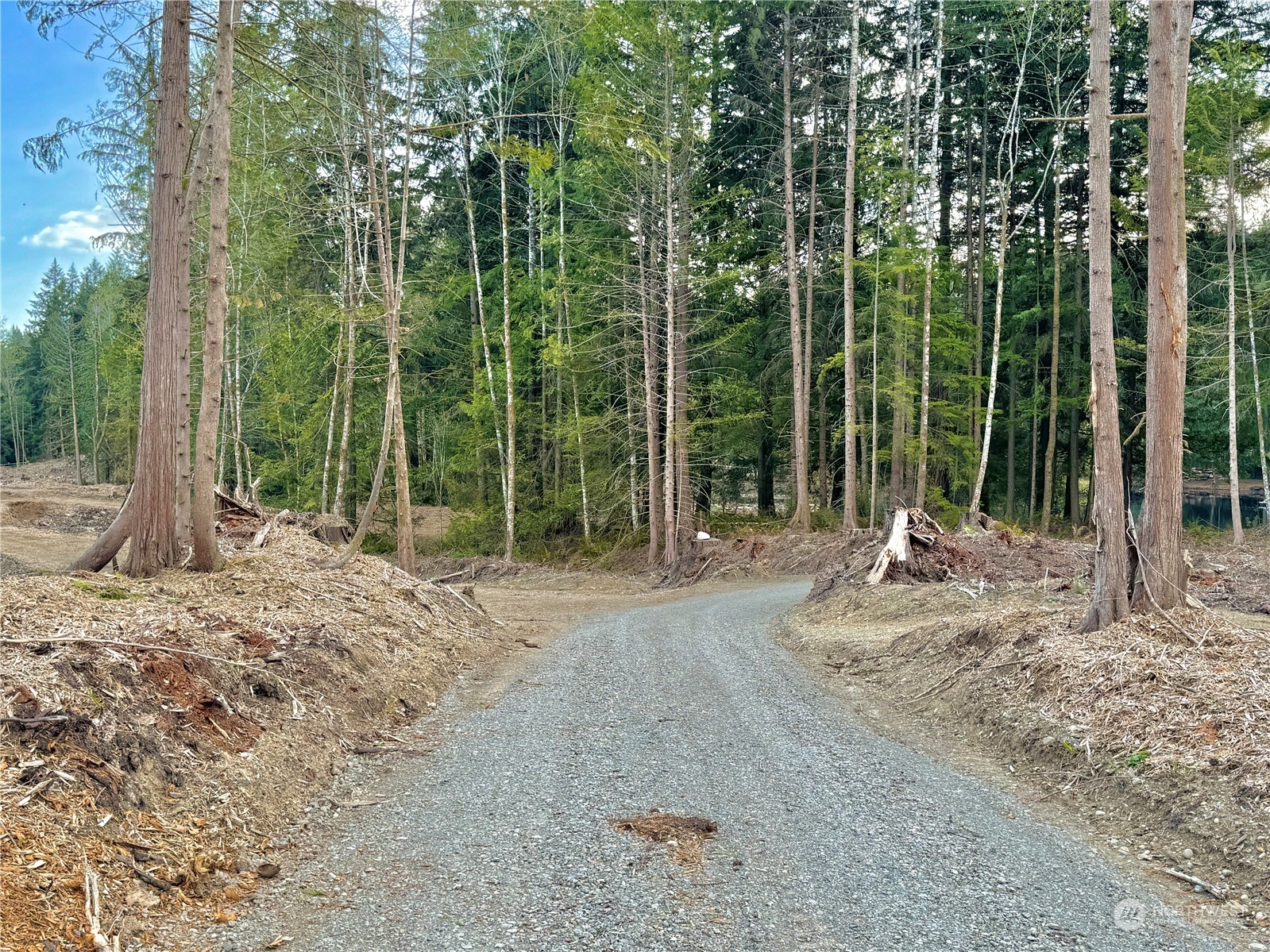 4300 Beauty Lake Road Southwest Port Orchard, WA 98367 - Photo 14 of 39 a house with lots of trees in the background