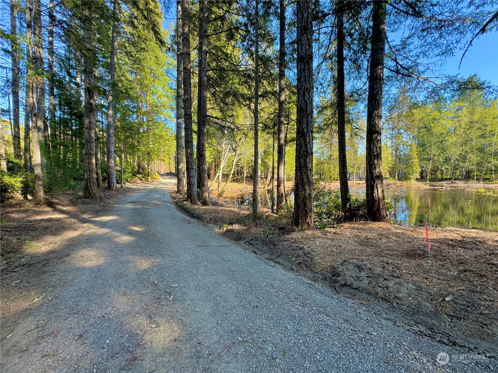 4300 Beauty Lake Road Southwest Port Orchard, WA 98367 - Photo 17 of 39 a view of a house with backyard and trees