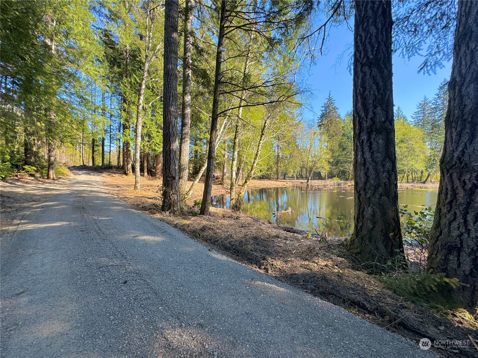 4300 Beauty Lake Road Southwest Port Orchard, WA 98367 - Photo 18 of 39 a view of a yard with plants and trees beside of it