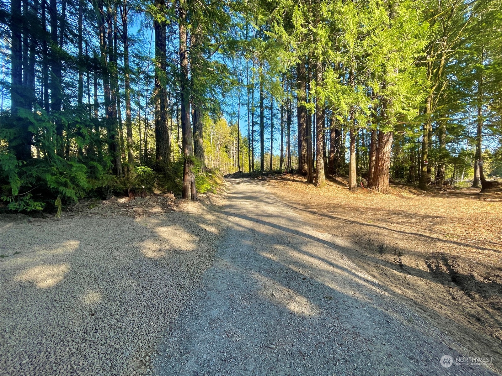 4300 Beauty Lake Road Southwest Port Orchard, WA 98367 - Photo 19 of 39 a view of a yard with basketball court