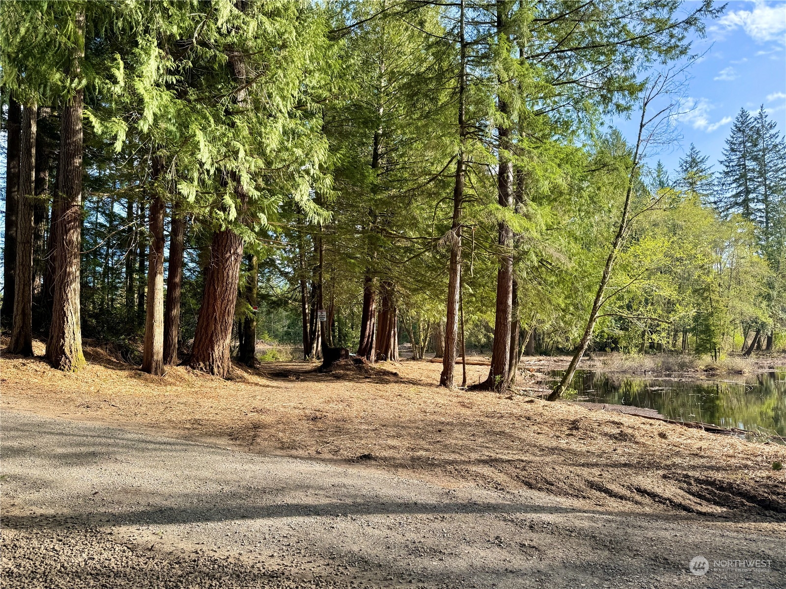4300 Beauty Lake Road Southwest Port Orchard, WA 98367 - Photo 20 of 39 a view of road with trees