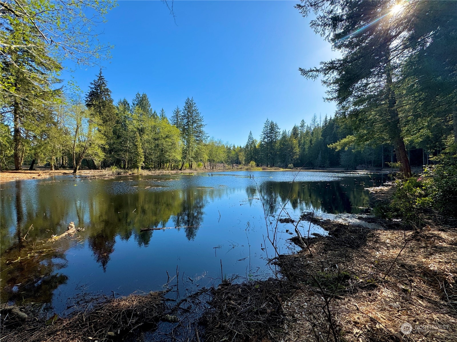4300 Beauty Lake Road Southwest Port Orchard, WA 98367 - Photo 2 of 39 a body of water with a tree in the background