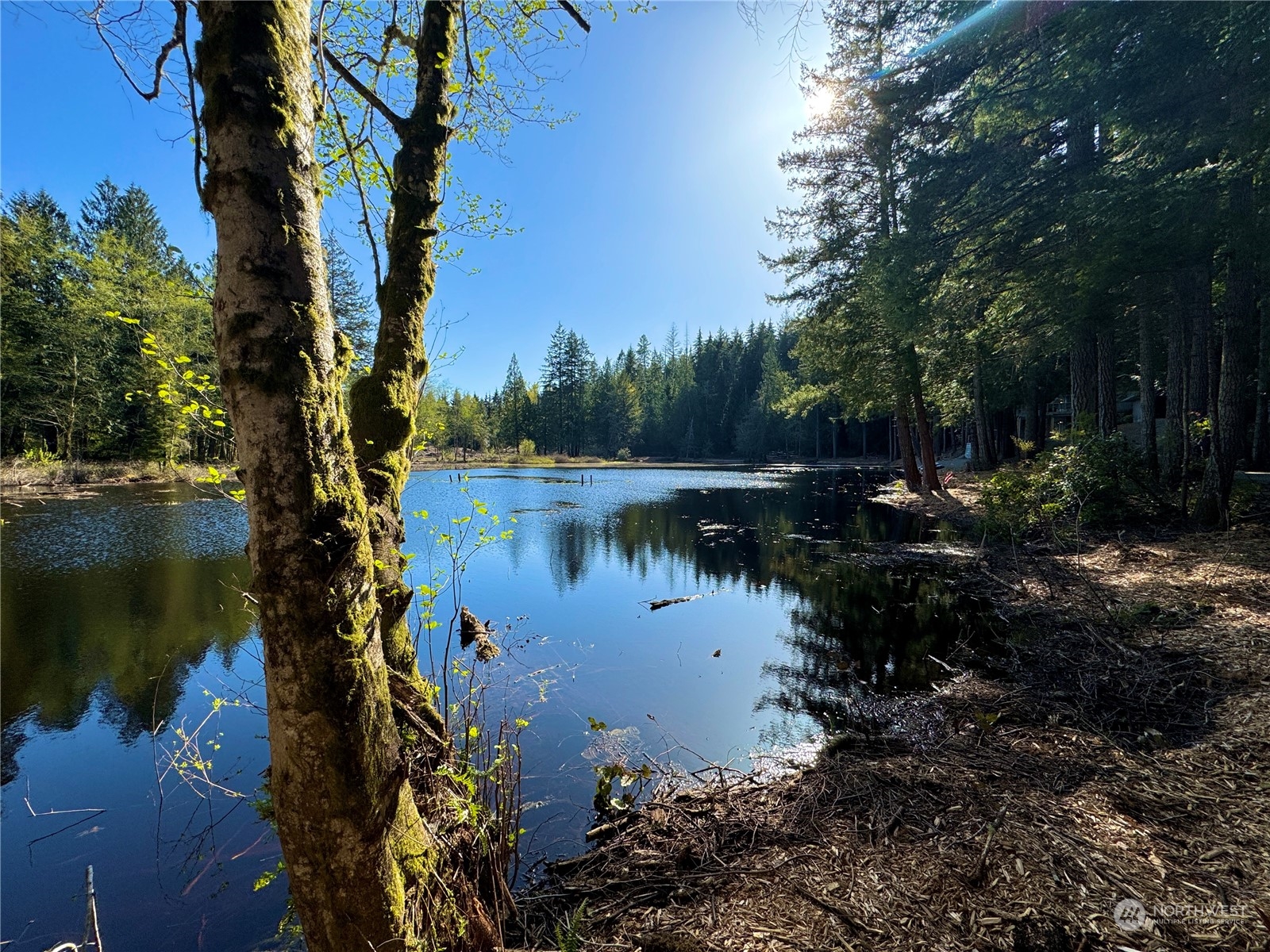 4300 Beauty Lake Road Southwest Port Orchard, WA 98367 - Photo 21 of 39 a view of lake