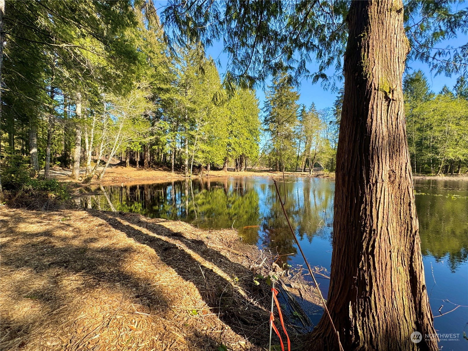 4300 Beauty Lake Road Southwest Port Orchard, WA 98367 - Photo 23 of 39 a view of a balcony with yard