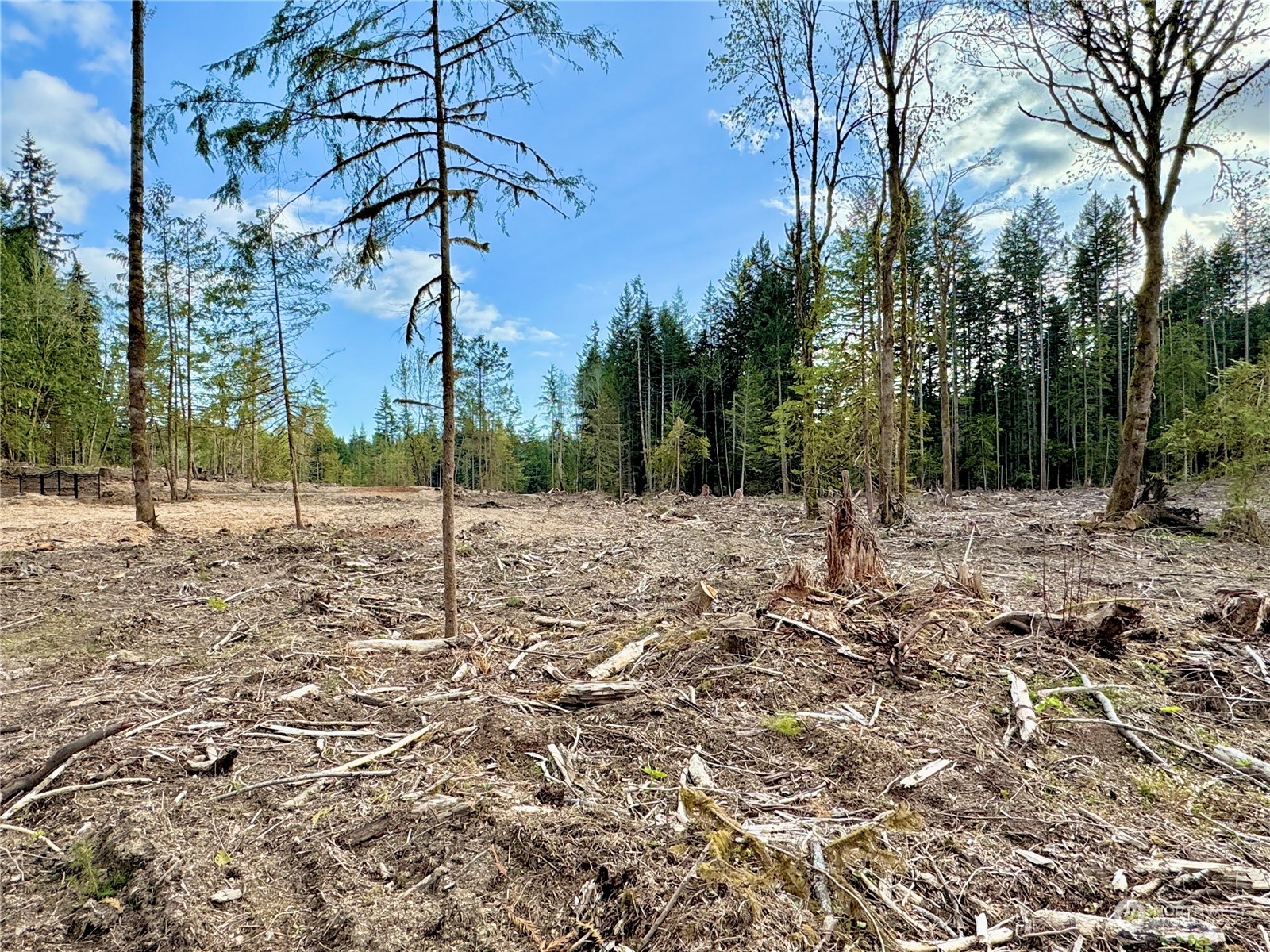 4300 Beauty Lake Road Southwest Port Orchard, WA 98367 - Photo 28 of 39 a view of snow on a field