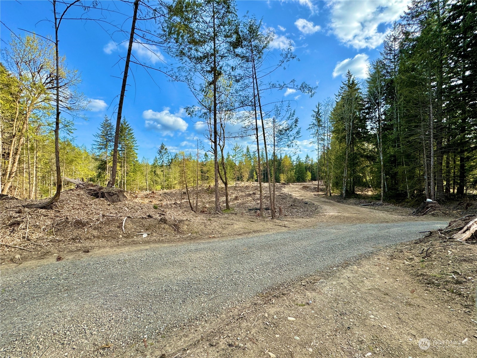 4300 Beauty Lake Road Southwest Port Orchard, WA 98367 - Photo 29 of 39 a view of a yard with a tree