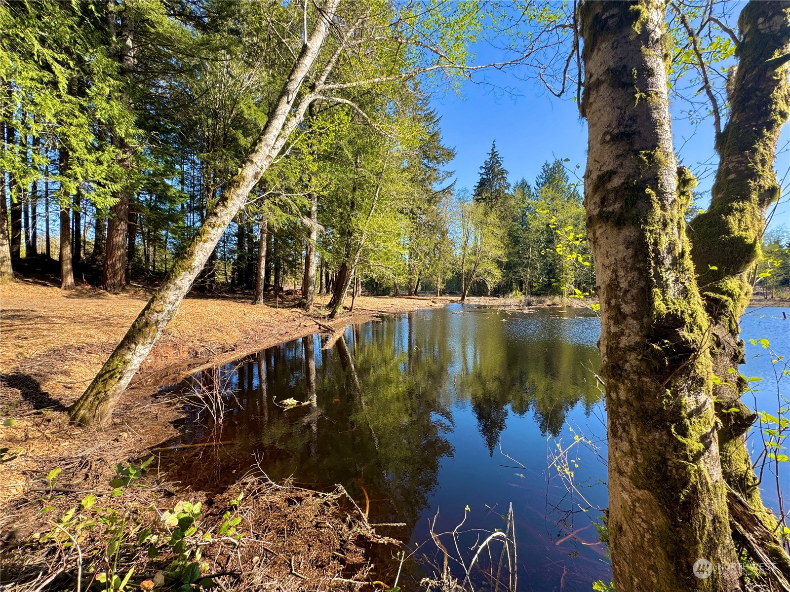 4300 Beauty Lake Road Southwest Port Orchard, WA 98367 - Photo 3 of 39 a view of a lake with a outdoor space