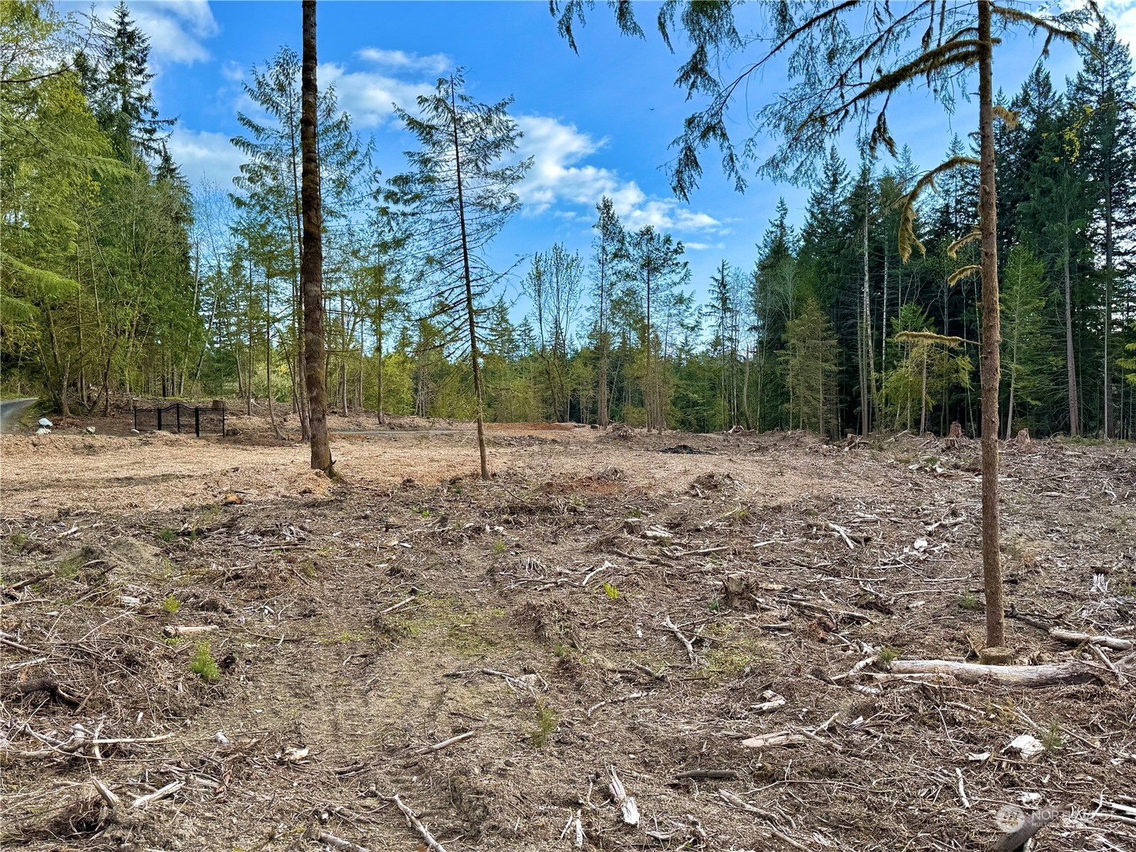 4300 Beauty Lake Road Southwest Port Orchard, WA 98367 - Photo 31 of 39 a view of empty room with trees