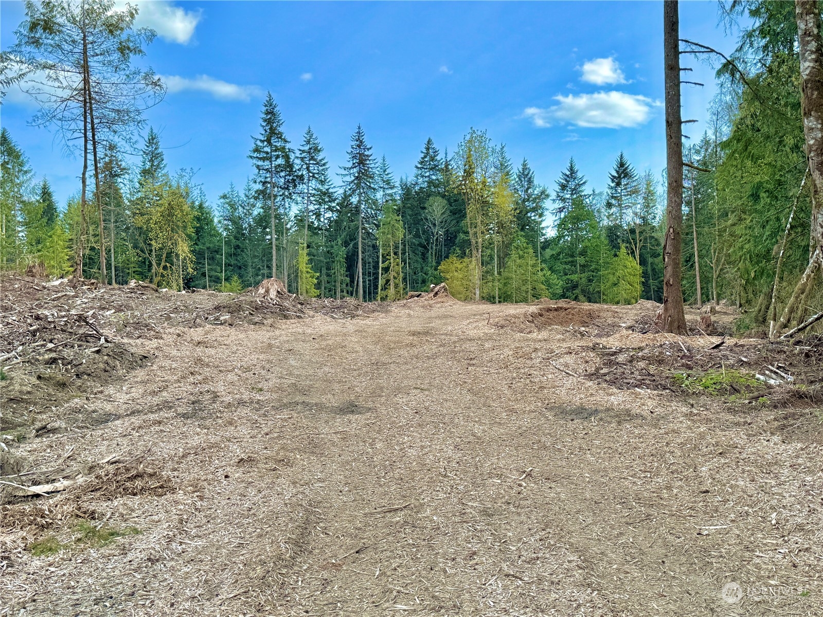 4300 Beauty Lake Road Southwest Port Orchard, WA 98367 - Photo 32 of 39 a view of a yard with a tree