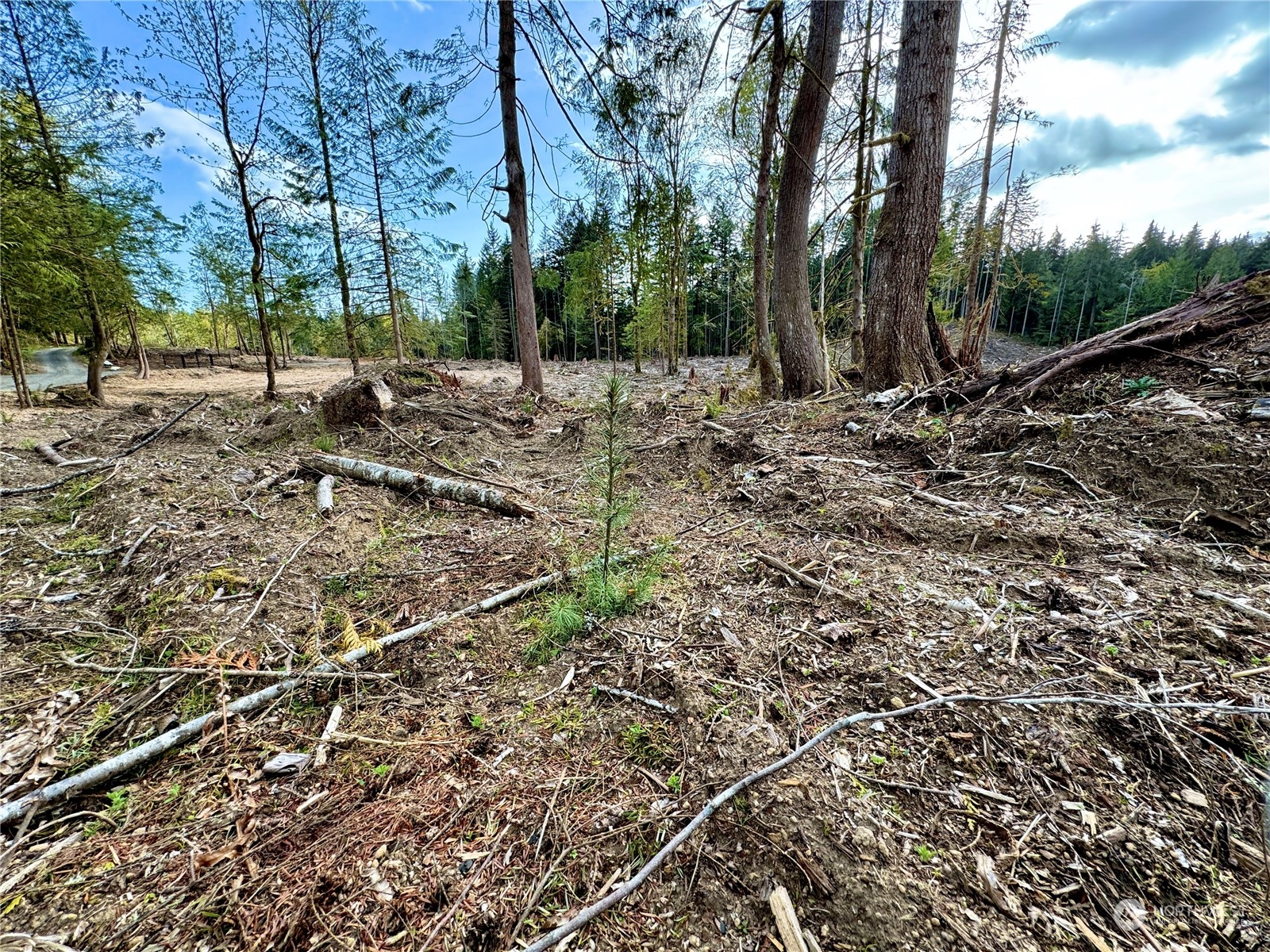 4300 Beauty Lake Road Southwest Port Orchard, WA 98367 - Photo 33 of 39 a view of backyard with green space
