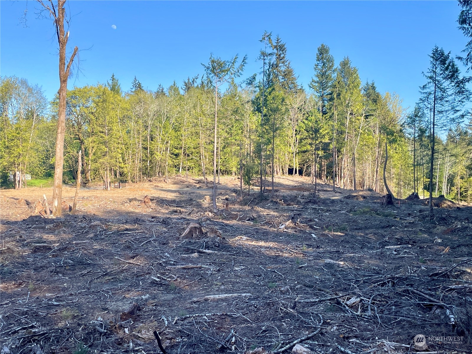 4300 Beauty Lake Road Southwest Port Orchard, WA 98367 - Photo 35 of 39 a view of backyard with green space