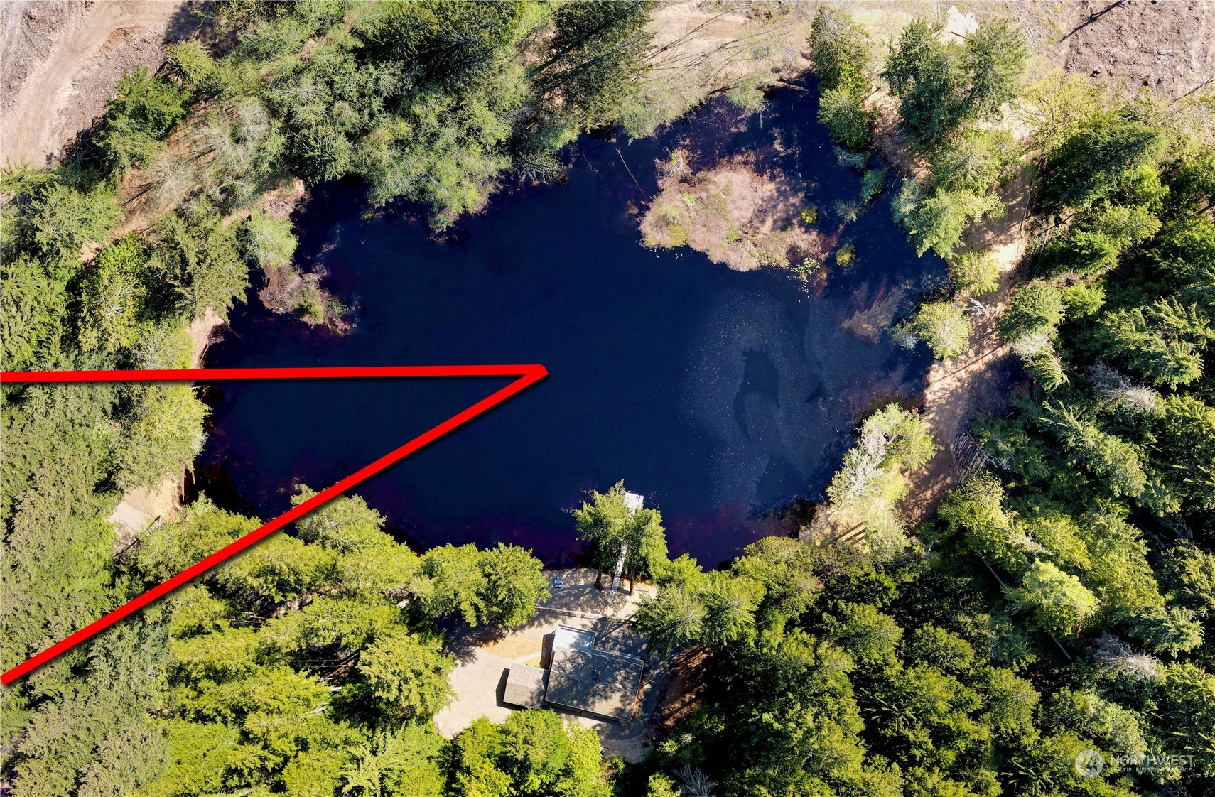 4300 Beauty Lake Road Southwest Port Orchard, WA 98367 - Photo 6 of 39 a picture of flowers