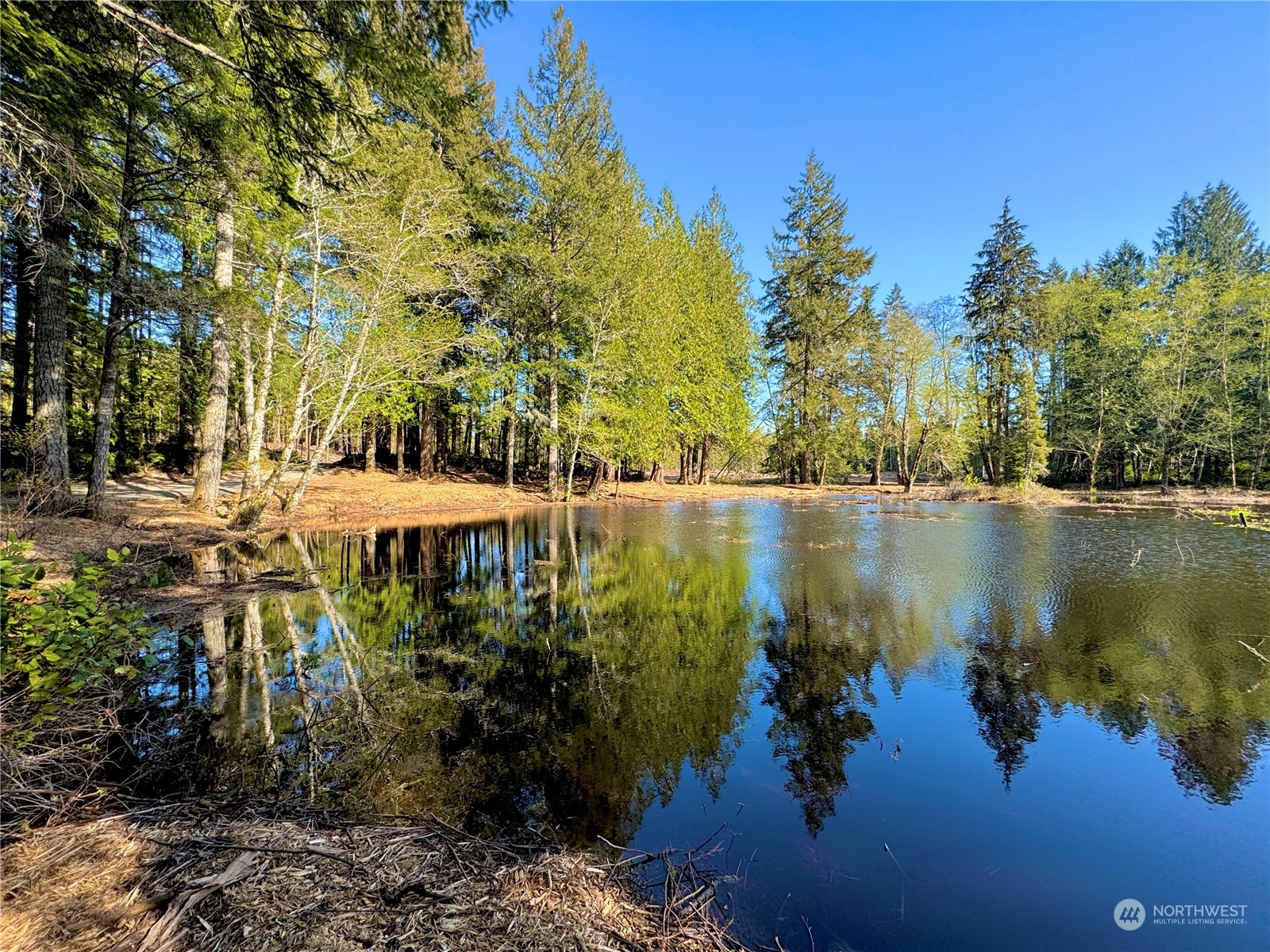 4300 Beauty Lake Road Southwest Port Orchard, WA 98367 - Photo 9 of 39 a view of lake with green space