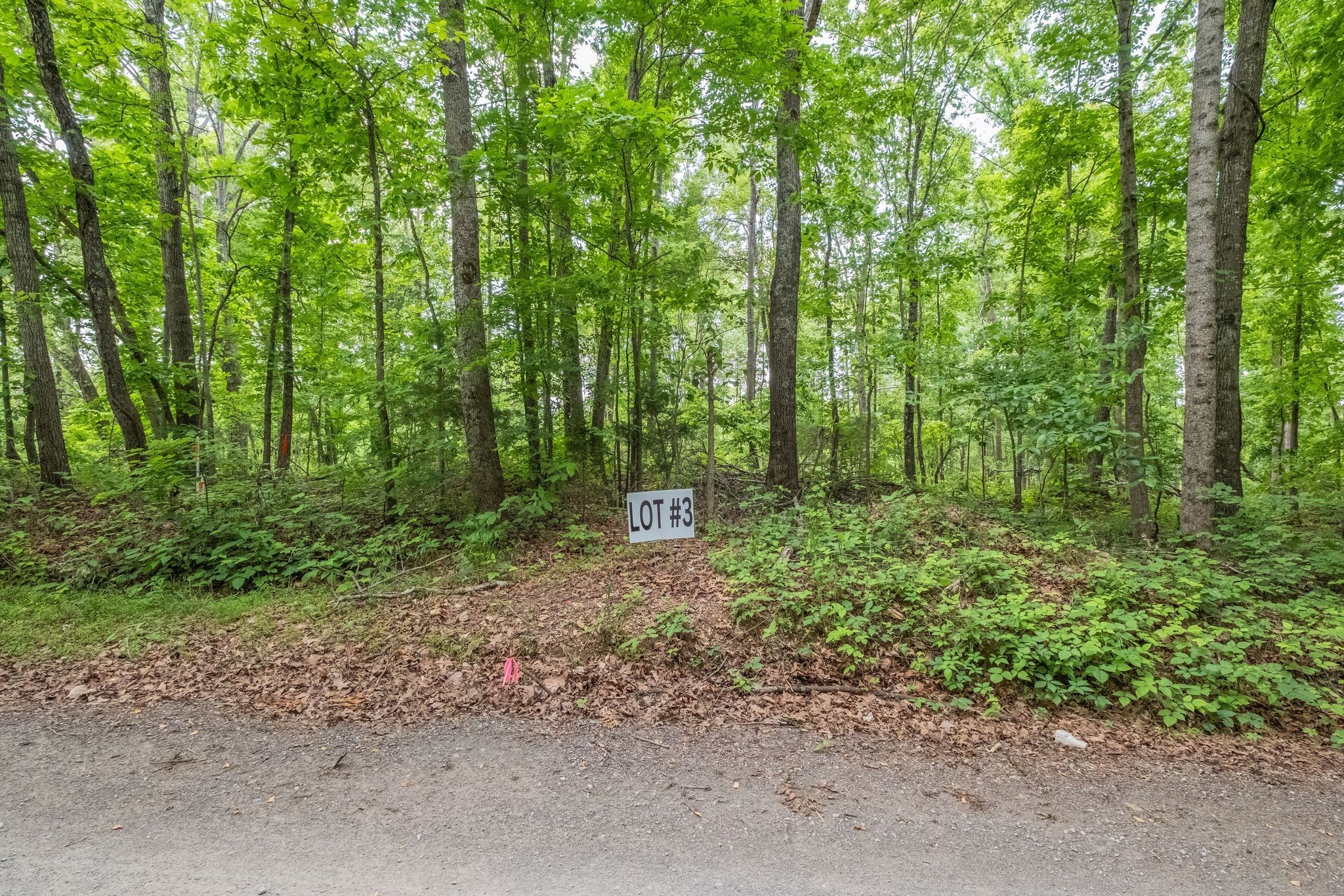 8489 Hoskins Hollow Road Westmoreland, TN 37186 - Photo 13 of 36