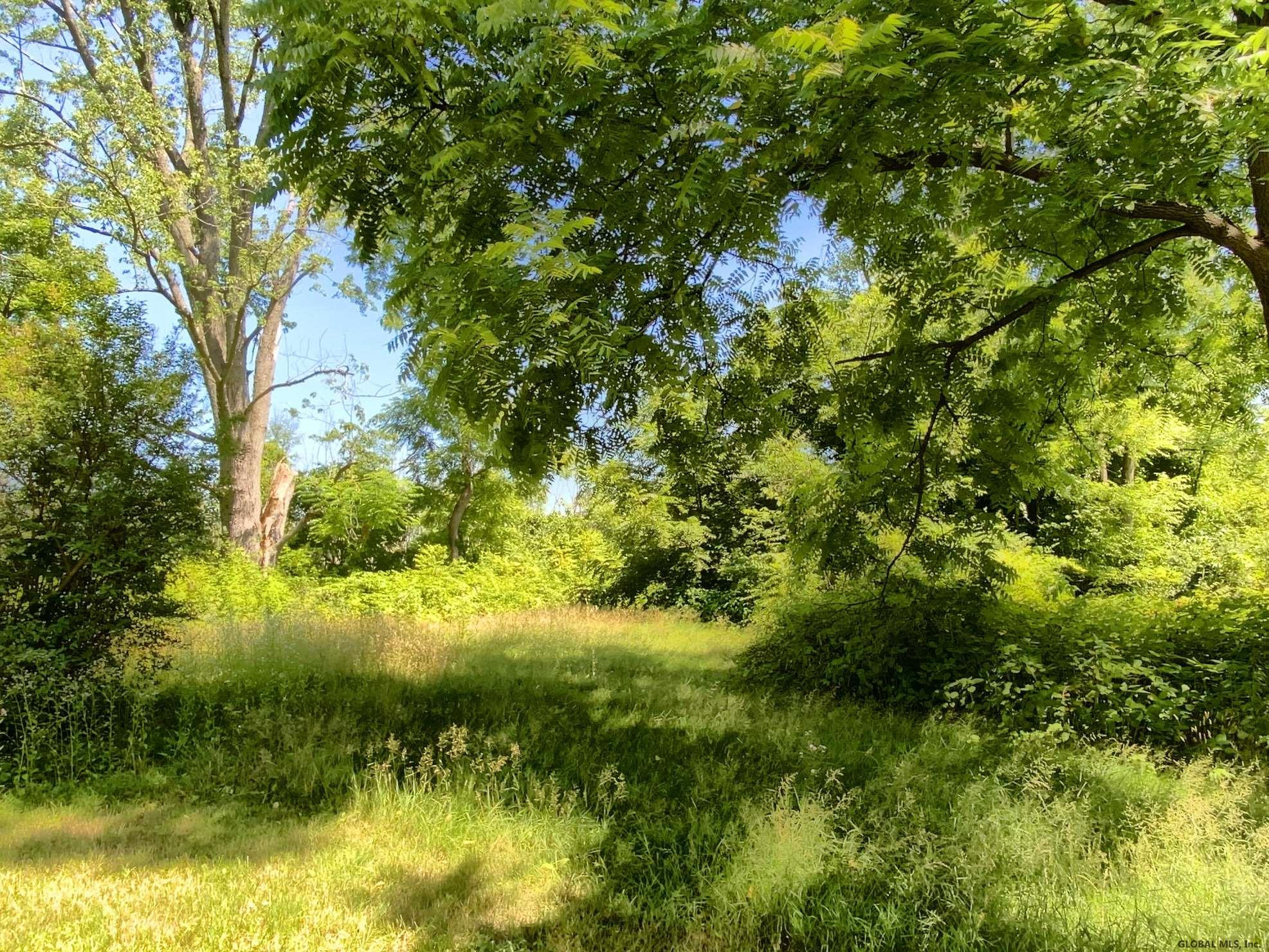 98 Lasher Road Bethlehem, NY 12158 - Photo 3 of 22 Photo 3