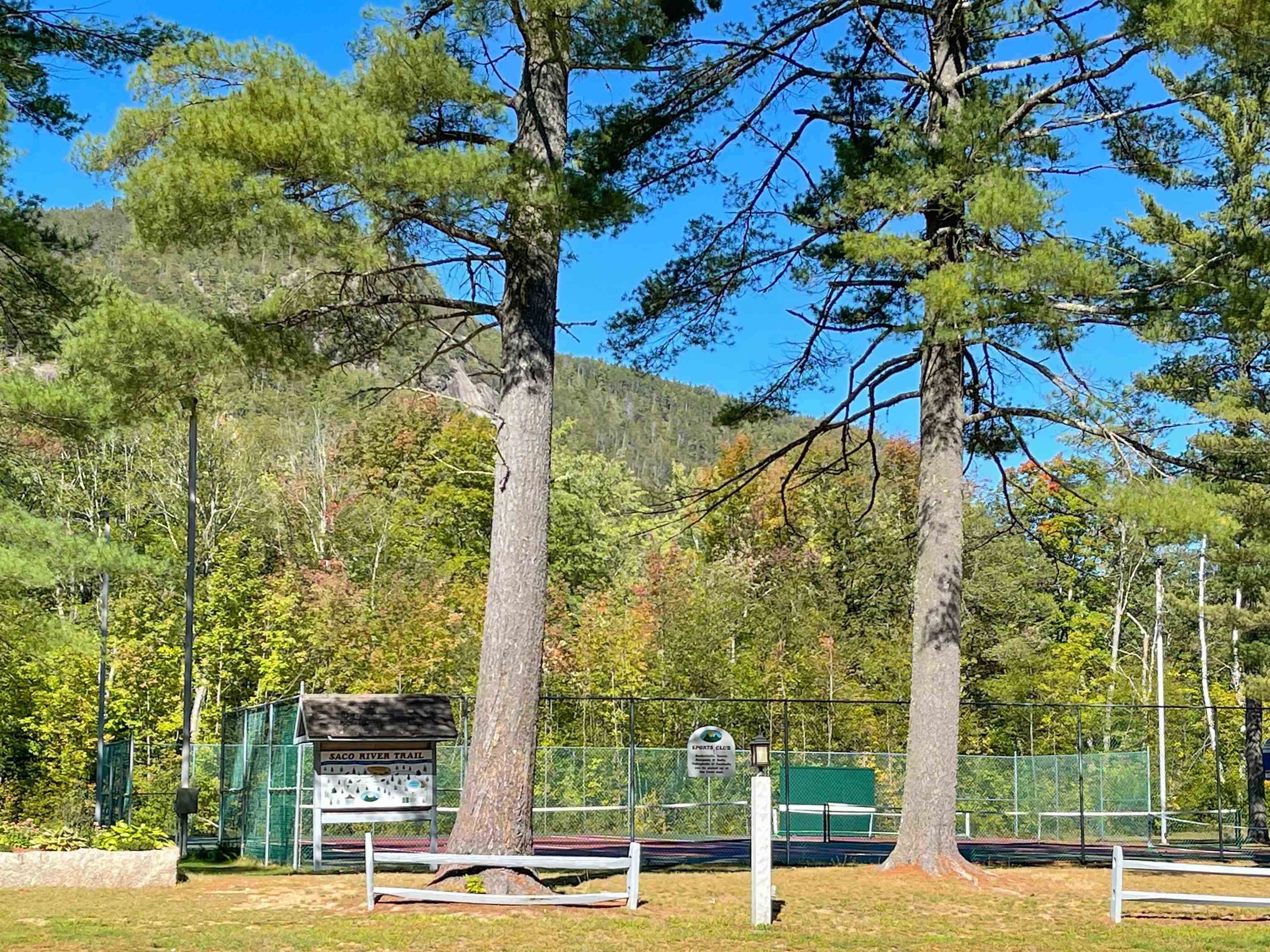 1 O River Run Road, Unit 1O Bartlett, NH 03812 - Photo 19 of 19