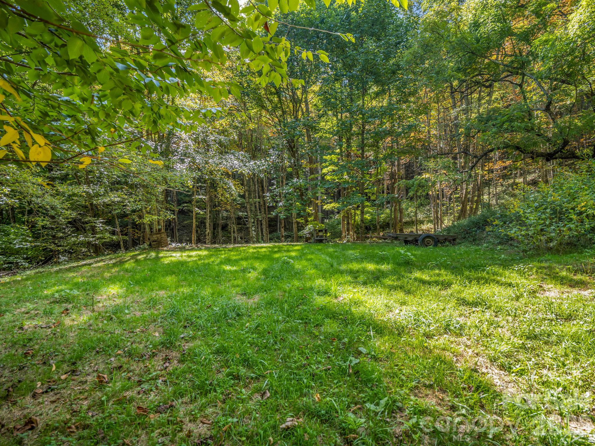765 Hawk Ridge Lane Marshall, NC 28753 - Photo 43 of 48 Gallery Image 43