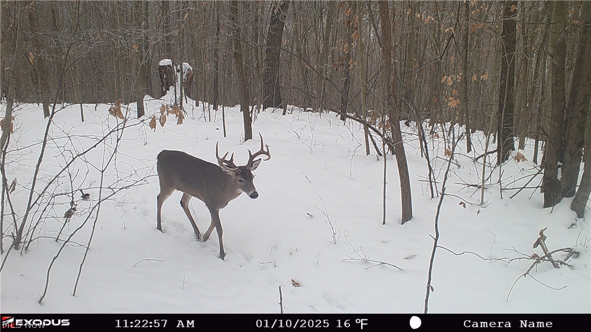 37500 Goose Run Road Dexter City, OH 45727 - Photo 49 of 50
