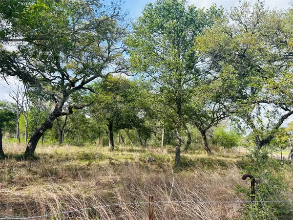 a backyard of a house with lots of plants and large tree