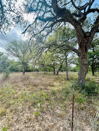 a view of a yard