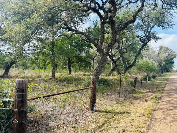 a view of a yard with large trees