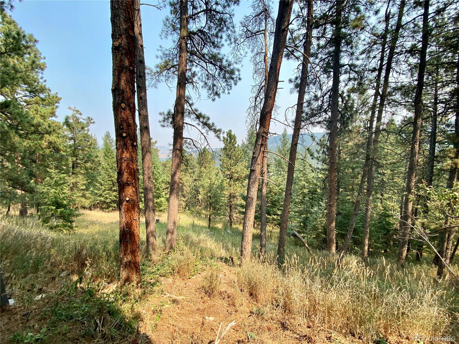 44 Pine Road Golden, CO 80401 - Photo 29 of 35 a view of forest