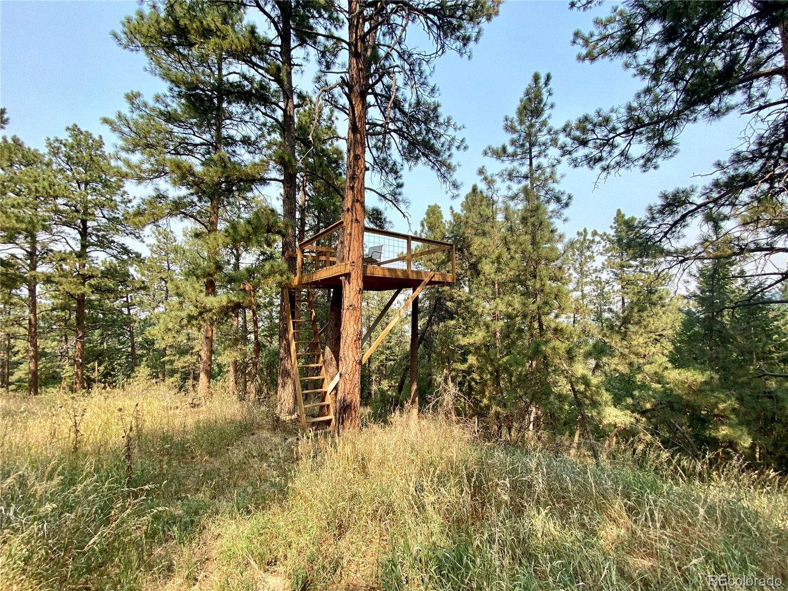 44 Pine Road Golden, CO 80401 - Photo 33 of 35 a view of lake with a tree