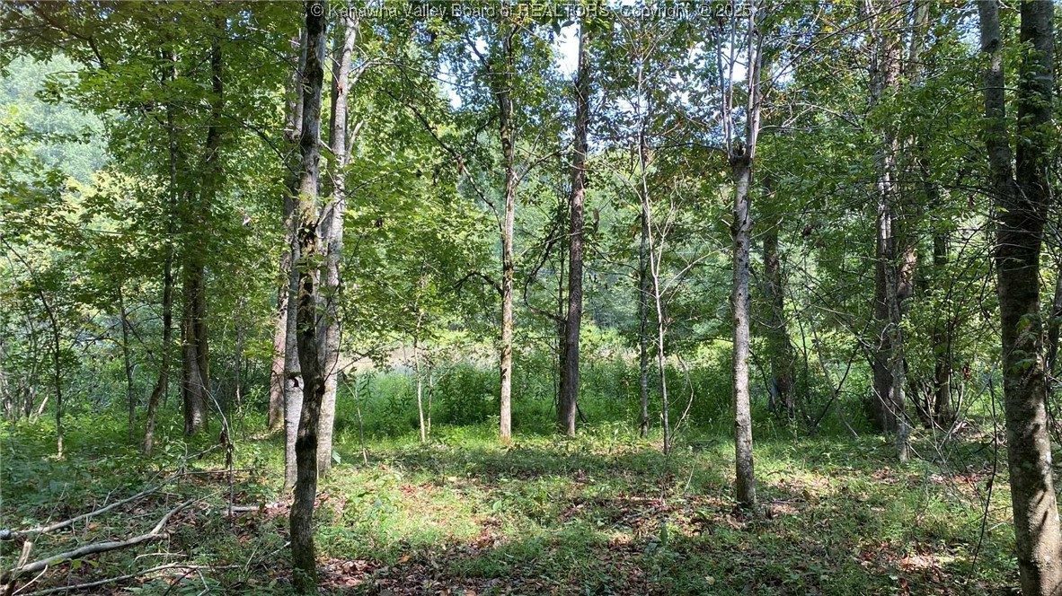0 Parsoner Creek Road Griffithsville, WV 25521 - Photo 27 of 27 Gallery Image 27