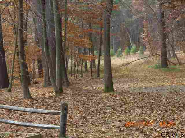 14 Bell Flower Road Malta, NY 12020 - Photo 3 of 6 Photo 3