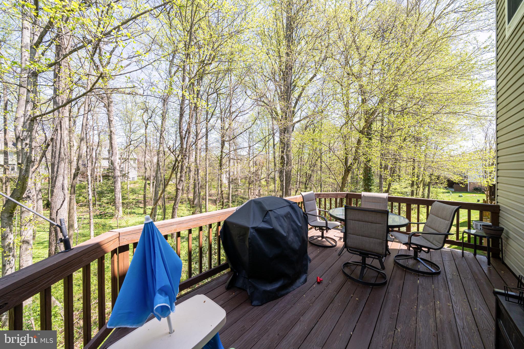 1229 Wild Hawthorn Way Reston, VA 20194 - Photo 17 of 29 Gallery Image 17