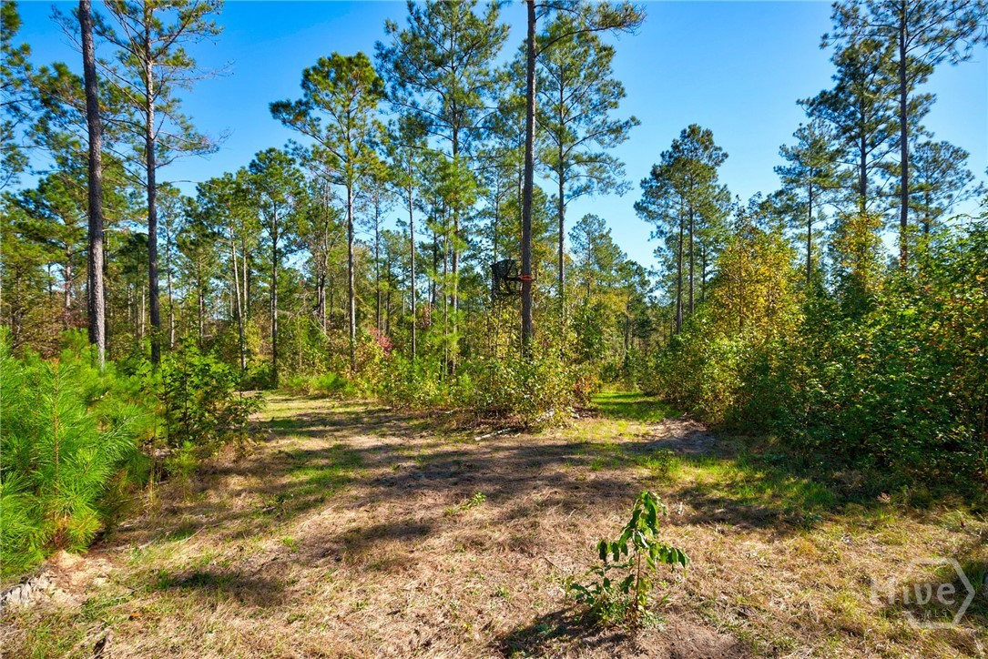 1 Bridges Road Carlton, GA 30627 - Photo 21 of 33